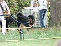 img 013
